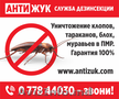 Дезинсекция в ПМР,  дезинфекция клопов и тараканов в Тирасполе
