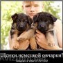 За скромную застенчивую цену